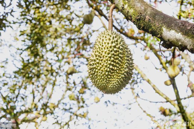 点了互存后,请留下你的高质量资源链接。+