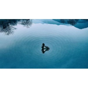 推荐两本好书：1、《现代佛法》-格西格桑嘉措；2、《如何转化你的生命》-格西格桑嘉措.pdf