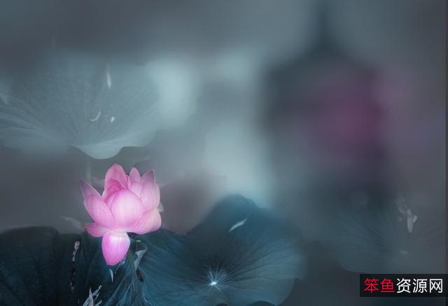 王阳明全集+四部：《知行录》《静心录》《悟真录》《顺生录》