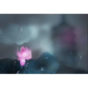 王阳明全集+四部：《知行录》《静心录》《悟真录》《顺生录》