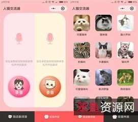 PHP超简洁小猫咪图床源码