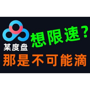 手机端度盘下载不限速软件