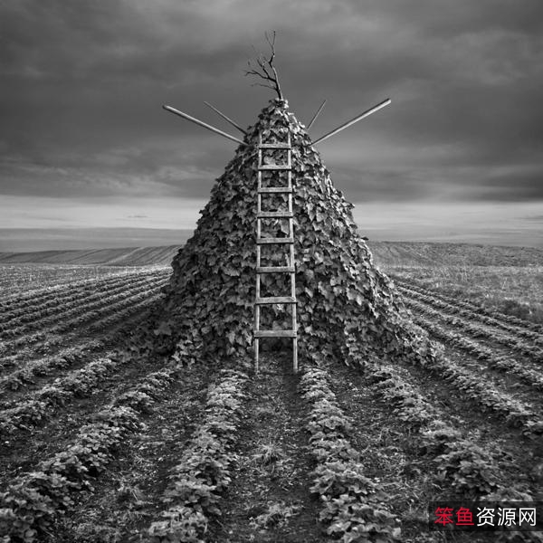 你想让制作图像具有大片的感觉吗？「Luminar+AI+」给你带来一场视觉上的美妙冲击。