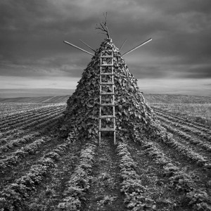 你想让制作图像具有大片的感觉吗？「Luminar+AI+」给你带来一场视觉上的美妙冲击。