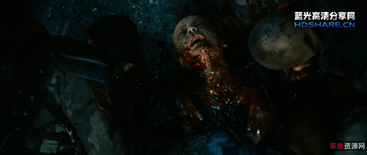 《阳光灿烂的日子：蓝光原盘REMUX版》