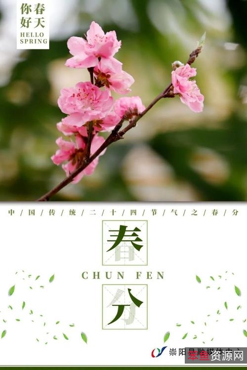 欢庆中国传统节日“春分”，祭祀祖先、祈求丰收！