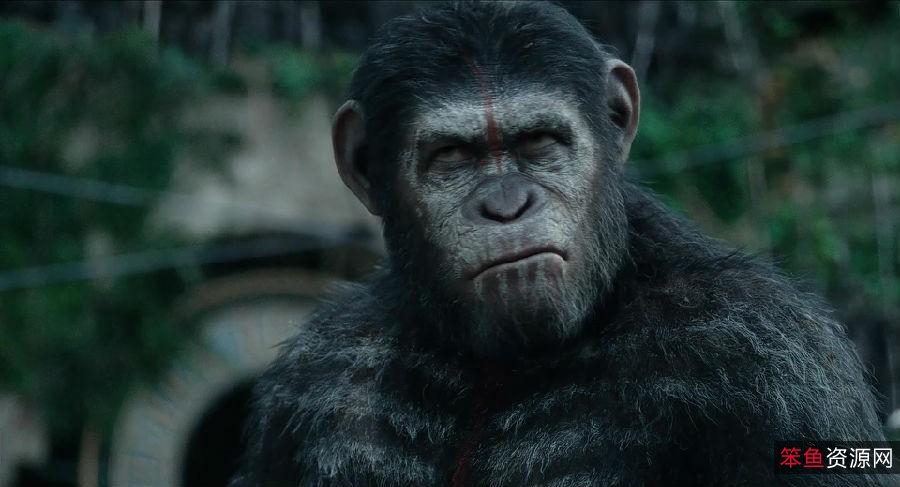 「4K超高清画质!猩球崛起系列,链接、阿里云盘、APP视频一应俱全,倍速播放,体验电影震撼!」