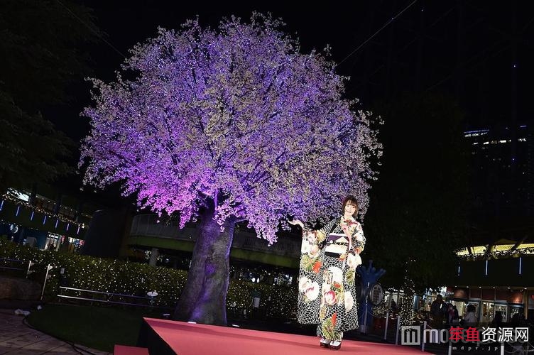 日本动画热门：《封刃师2022》高清版1-3最新日语中字