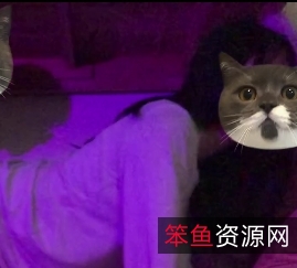 百合女大学生日常+互动,苏婉带着假jb,惊艳舌吻、宿舍床板运动,勇敢自信的性感表现