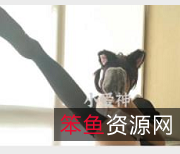 高端定制妖怪桃桃子:精选小翘臀、超细超长美腿女神,1.4G资源合集等你来拿