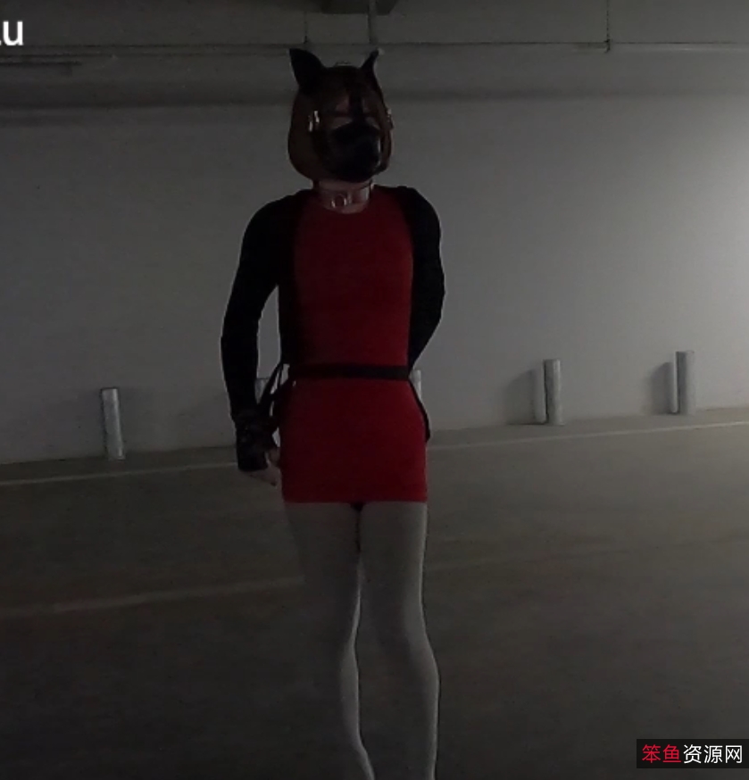 满月之夜小合集17.9G12v百度盘