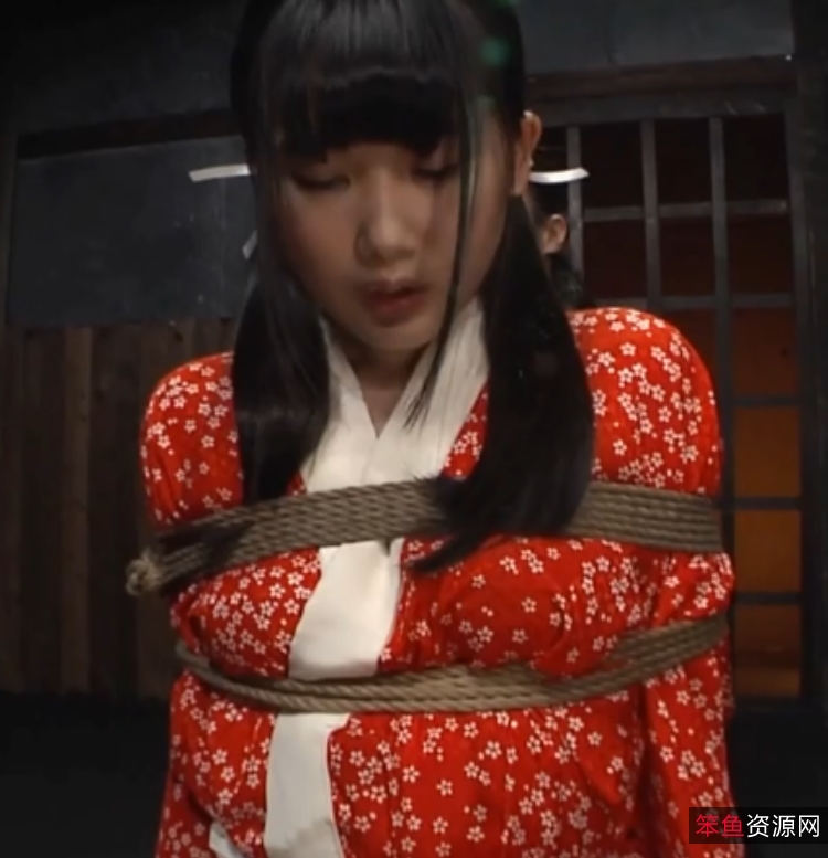 GTJ系列第六弹：口味重味视频完结篇，36.9G，11个视频，涵盖束缚、拘束、拷问、饮尿等永久有效