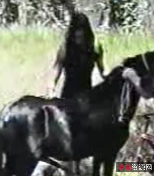 免费分享马合集视频127个,总27G,360-720P分辨率,解压密码“”