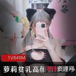 绯红妹子与小猫的飞机场高颜值合集
