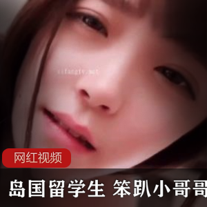 岛国留学生笨趴小哥哥作品合集：99个视频，总大小3.2G，独特魅力无法抗拒