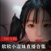 软软小湿妹私人订制视频合集，颜值身材一应俱全，5.9G大容量等你来探索！