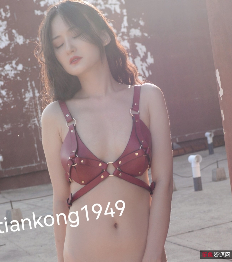 色影大神『抖叔』高清私拍355P,1.38G视频,永久链接,带你进入大师级摄影世界