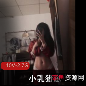 优质快手少女小乳猪崽最新合集10V2.7G，日常自拍魅力无限