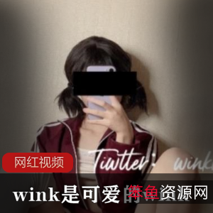 推特知名网红wink可爱作品合集19V5.87G，展现多样魅力