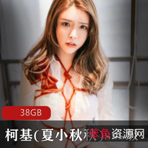 夏小秋秋COS神作78套38G优质车灯